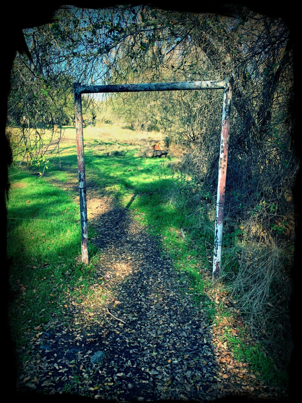 a metal gate over a dirt path alongside trees